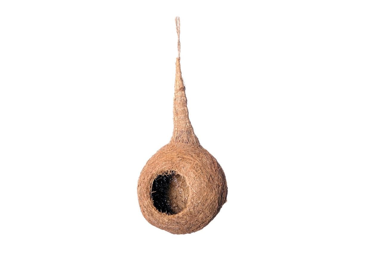 Coir product 6