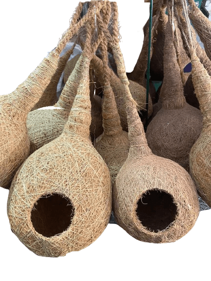 Coir product 7